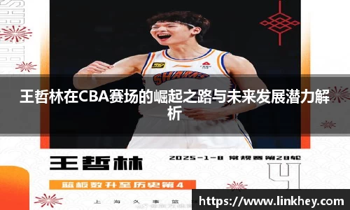 王哲林在CBA赛场的崛起之路与未来发展潜力解析